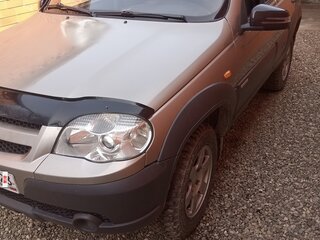 2009 Chevrolet Niva I Рестайлинг, серебристый, 500000 рублей, вид 1