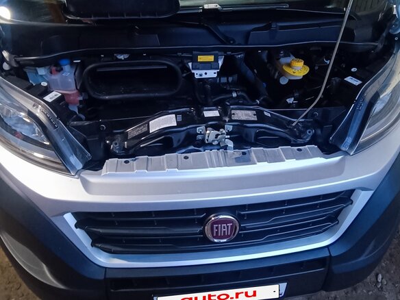2020 Fiat Professional Ducato, белый, 4750000 рублей - вид 25