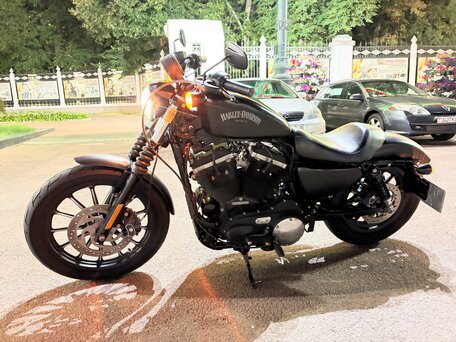 2015 Harley-Davidson Sportster 883, чёрный, 565000 рублей, вид 5