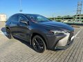 2023 Lexus NX 450h+ II, серый, 4084000 рублей