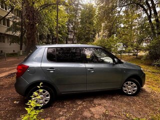 2007 Skoda Fabia II, серый, 490000 рублей, вид 3