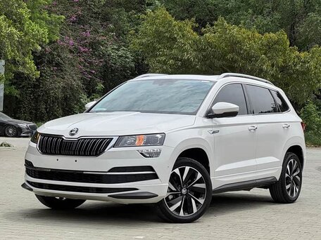Skoda Karoq I