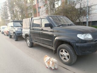2009 УАЗ Пикап I, чёрный, 520000 рублей, вид 3