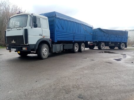 2001 МАЗ 6303, серый, 2500000 рублей, вид 2