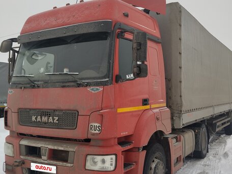 2016 КамАЗ 5490, красный, 1600000 рублей, вид 3