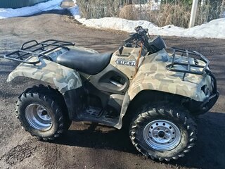 2007 Suzuki EIGER, зелёный, 290000 рублей, вид 1