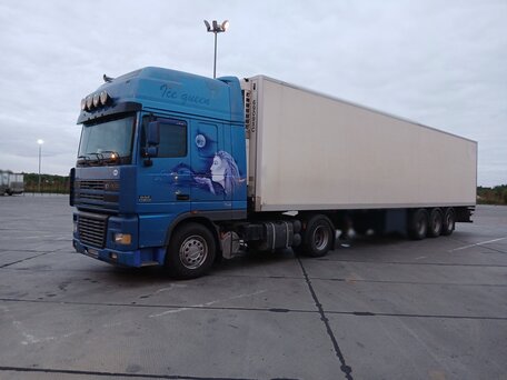2002 DAF 95XF, синий, 2870000 рублей, вид 1