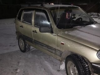 2004 Chevrolet Niva I, бежевый, 340000 рублей, вид 2