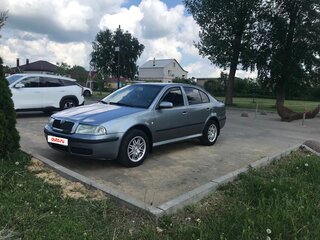 2004 Skoda Octavia I (A4) Рестайлинг, серый, 530000 рублей, вид 1