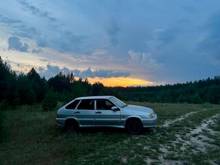 2003 Lada (ВАЗ) 2114, серебристый, 85000 рублей, вид 2