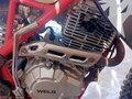 2023 Wels MX250R5, красный, 145000 рублей - вид 5