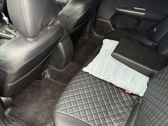 2011 Subaru Forester III Рестайлинг, зелёный - вид 12