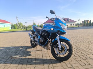 2006 Suzuki Bandit GSF 650, голубой, 294690 рублей, вид 1