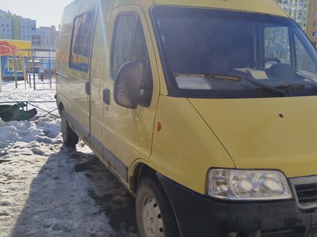 2009 Fiat Professional Ducato, жёлтый, 1400000 рублей, вид 5