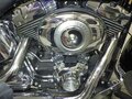 2009 Harley-Davidson Heritage, чёрный, 725000 рублей - вид 6