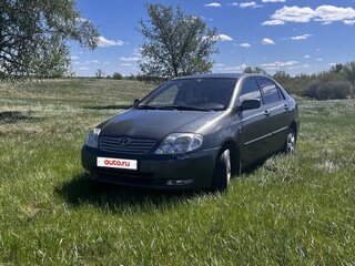 2004 Toyota Corolla IX (E120, E130), серый, 383000 рублей, вид 1