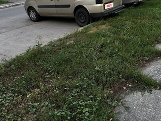 2014 Fiat Doblo I Рестайлинг, коричневый, 699000 рублей, вид 2