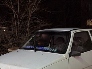 2007 Lada (ВАЗ) 1111 Ока СеАЗ, белый, 99999 рублей, вид 2