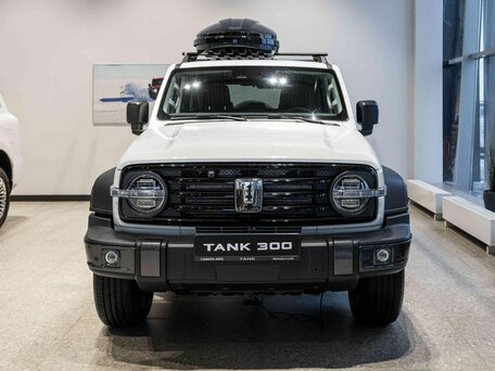 Tank 300 I