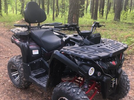 2025 Promax 320 DOMINATOR, чёрный, 290000 рублей, вид 3
