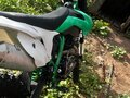 2024 Darex Alga 300, зелёный, 105000 рублей - вид 1