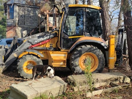 2011 Volvo BL, жёлтый, 6100000 рублей, вид 2