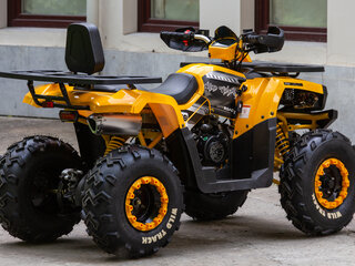 2024 Motoland Wild Track 200, жёлтый, 185250 рублей, вид 4