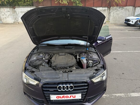 2015 Audi A5 I (8T) Рестайлинг, фиолетовый, 2250000 рублей - вид 22