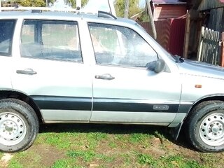 2004 Chevrolet Niva I, серый, 335000 рублей, вид 3