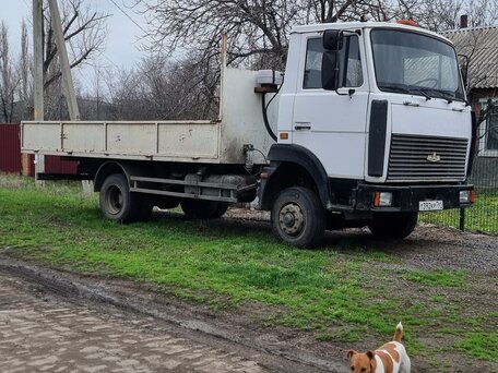2005 МАЗ 4370, белый, 750000 рублей, вид 1