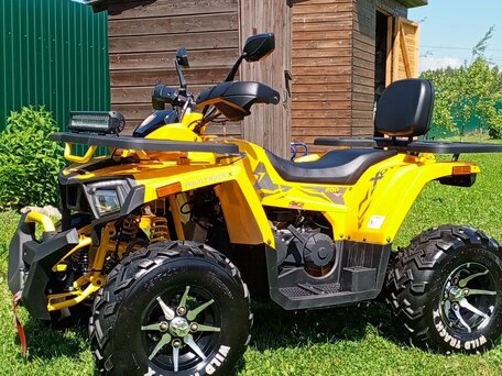 2024 Motoland Wild Track 200 X Pro, жёлтый, 220000 рублей, вид 1