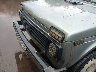2010 Lada (ВАЗ) 2131 (4x4) 213105 I, серый, 300000 рублей, вид 3