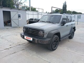 2024 Tank 300 I, серый, 3520000 рублей, вид 1