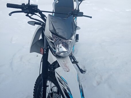 2022 Motoland Enduro 250, белый, 120000 рублей, вид 2
