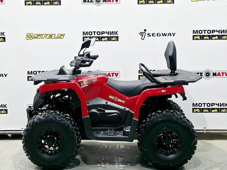 2025 Bison 250U, красный, 309900 рублей, вид 2