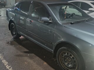 2007 Skoda Octavia II (A5), серый, 520000 рублей, вид 4
