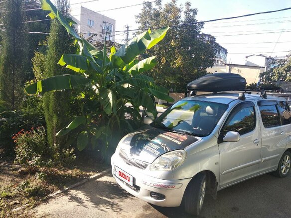 2004 Toyota FunCargo, серебристый, 550000 рублей