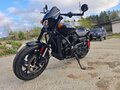 2020 Harley-Davidson Street Rod, чёрный, 730000 рублей - вид 1