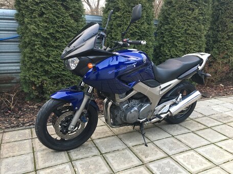 2003 Yamaha TDM900, синий, 365000 рублей, вид 1