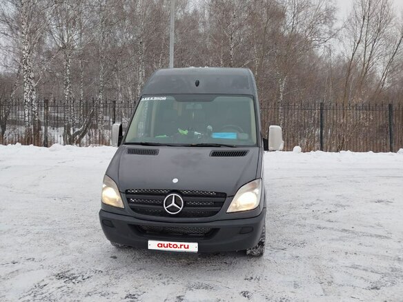 2008 Mercedes-Benz Sprinter, серый, 1700000 рублей - вид 4