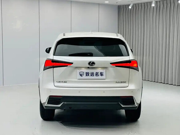 2020 Lexus NX 200 I Рестайлинг, белый, 2755000 рублей - вид 4
