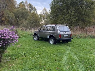 2002 Lada (ВАЗ) 2131 (4x4) I, серый, 120000 рублей, вид 4