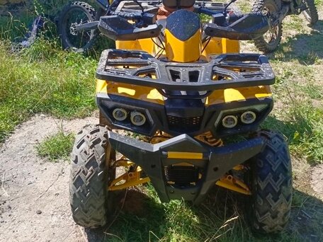 2025 Motoland Wild Track 200, жёлтый, 170000 рублей, вид 3