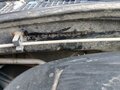 2009 Renault Logan I, чёрный, 355000 рублей - вид 4
