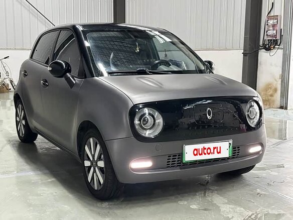 2021 Ora Black Cat 33 kWh, серебристый - вид 2