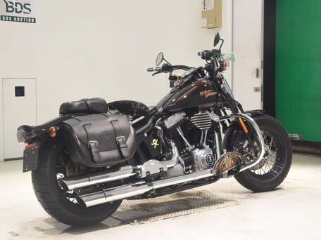 2009 Harley-Davidson Cross Bones, чёрный, 976000 рублей, вид 5