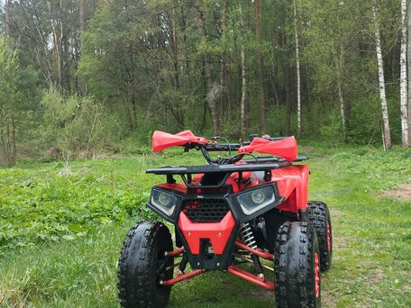 2024 Bizon YK200 BASIC CARB, красный, 95000 рублей, вид 1
