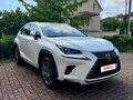2019 Lexus NX 200 I Рестайлинг, белый, 2900000 рублей