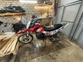 2013 Irbis TTR 250, красный, 110000 рублей - вид 2