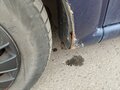 2004 Citroen C3 I, синий, 245999 рублей - вид 8